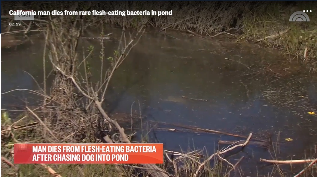 2023 04 13 pond with flesh eating bacteria
