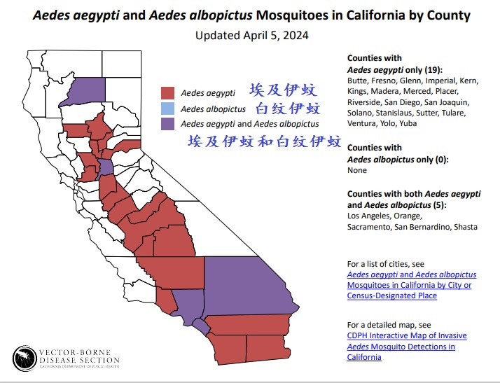 2024 04 14 Aedes Mosquitoes map