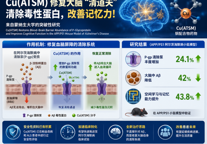 阿尔茨海默病新突破：实验药清除毒蛋白，恢复长期记忆
