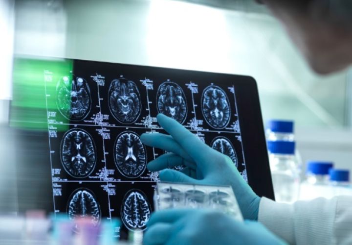 最新研究揭示大脑在人一生中经历的五个阶段