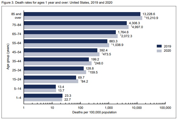 02 12 图1 2019 2020 age group death rate
