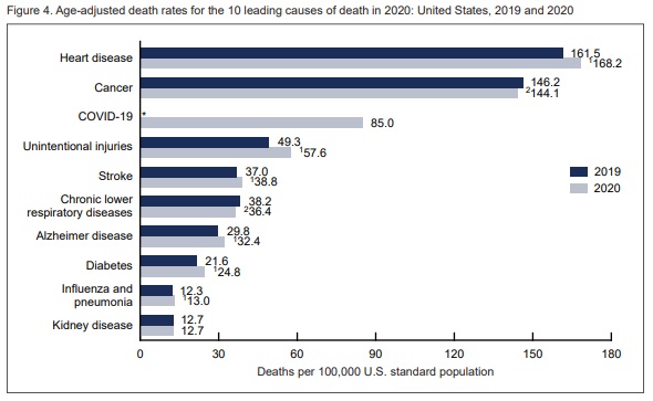 02 12 图2 2019 2020 death causes