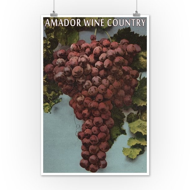 03 29 Grapes Amador County Photo Latern Press