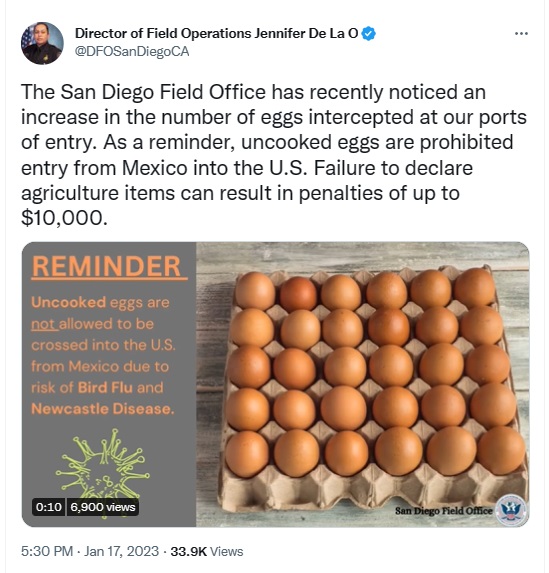 2023 01 20 egg smuggling